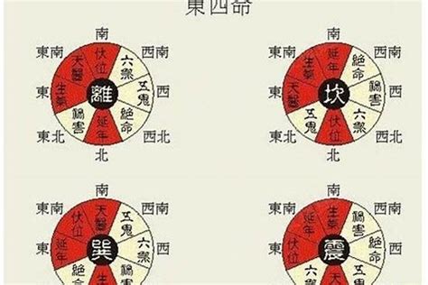 三震命|东四命是什么意思